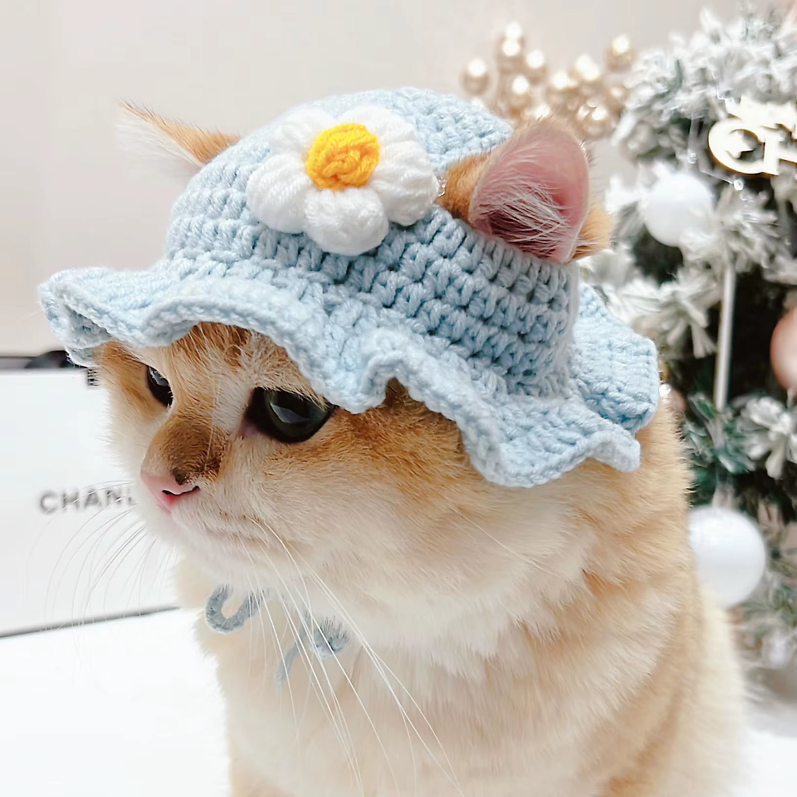 Cute Refined Cat Hat Elastic Autumn Winter Pet Hat Puppy Kittens Knitted Hat Party Photo Shoot Props Decoration Cat Accessories
